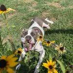 Perry Mason Magee - @perrymasonkisses - Instagram