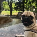 Perry Manuel🦴🦴🦴🦴🦴🦴 - @perrymanuelvillagra - Instagram