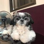 Perry Manuel - @perrymanuel071720 - Instagram
