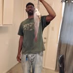Perry Marks - @perrymarks1977 - Instagram