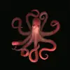 Perry Marks - @perry.marks7 - TikTok