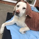 Perry Maskell - @maskell.perry - Instagram