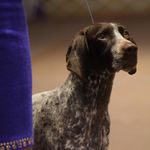 Barbara Perry McNeill - @barbaraperrymcneill - Instagram