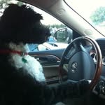 Perry Meltzer - @perrymeltzer - Instagram