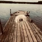 Perry - @perry_____norris_23z - Instagram