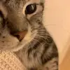 Perry Nyein👾 - @perry.nyein - TikTok