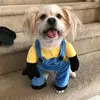 perrypalmer400 - @perrypalmer400 - TikTok
