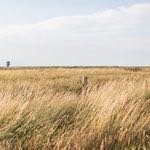 Perry Parks - @perryparks7 - Instagram