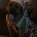 Perry Patrick - Facebook