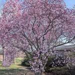 Perry Payne - @perkat2 - Instagram