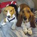 Perry Payne - Facebook