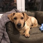 Perry Pearson-Woods - @perry_pearson_woods - Instagram