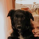 perry - @_perrypierre - Instagram