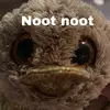 Perry - @perry._.plattapus - TikTok