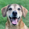 user4717183233774 - @perry.quick - TikTok