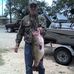 Perry Reed - Facebook