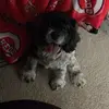 ReedPerry - @reedperry - TikTok