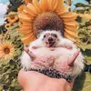 Reese Perry - @reese.perry06 - TikTok
