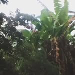 Perry Richards - @perry.richards.5439 - Instagram