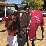 Riley Perry-Parmenter Eventing - @riley_perry_parmenter_eventing - Instagram