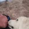 Perry Russell - @perry.russell1 - TikTok