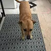 ryan - @ryan.perry2 - TikTok