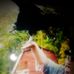 Perry Schaefer - Facebook
