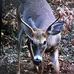 Perry Schaefer - Facebook