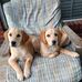 Perry Searcy Caton - Facebook