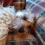 Perry Ray Shelton - @perryrayshelton - Instagram