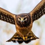 Perry singh (2002) - @parr.y1954 - Instagram