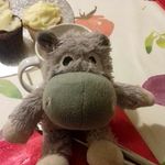 graham perry-slack - @grahamp_s - Instagram