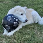 Perry Smitherman - @ptsmitherman - Instagram