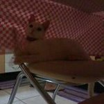 Perry Souza - @perrysouza054 - Instagram