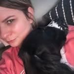 Perry 🐶 & Veronika Chapman - @perry_springerspaniel_and_i - Instagram