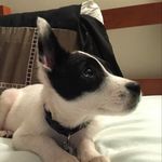 Stark - @stark.perry - Instagram