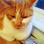 Perry Stevens - @perrystevens6920 - Instagram