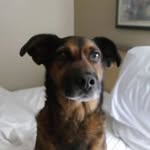 Perry Stokes - @perry.stokes - Instagram