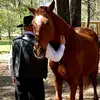 perrystokes815 - @perrystokes815 - TikTok