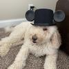 Perry_Tanner - @prrytanner - TikTok