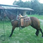 Perry Terry - @perryterry682 - Instagram
