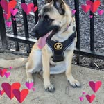 Perry G TwoFeathers Tripp - @twofeathers707 - Instagram
