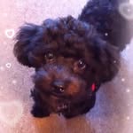 Deb Perry-Walter - @perrywalterdeb - Instagram