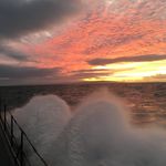 Perry Walton - @redpezz - Instagram