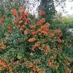 Perry - @perry.waters_pq9 - Instagram