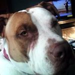 Perry Weaver - @weaverperry - Instagram