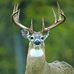 Perry Weaver - Facebook