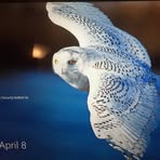 Perry Williamson - Facebook