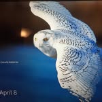 Perry Williamson - @perrywilliamson13 - Instagram