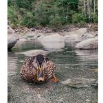Perry - @perry_____willis.cuks - Instagram